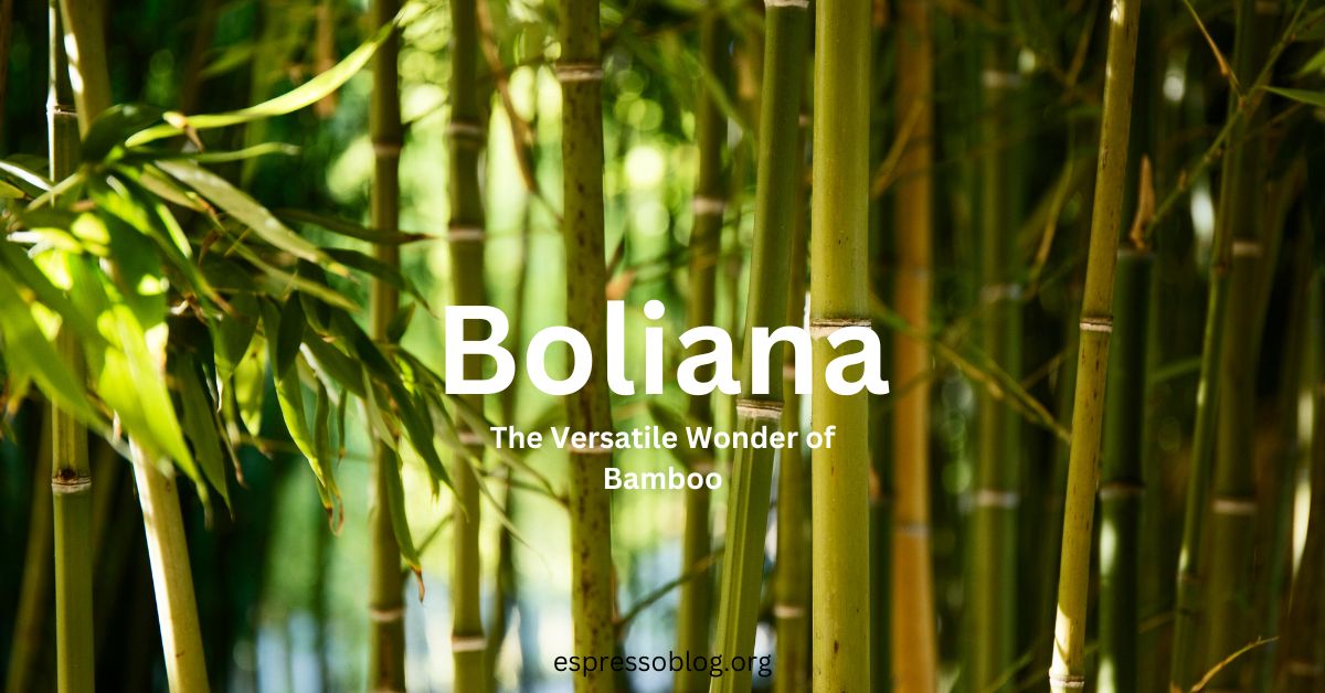 Boliana