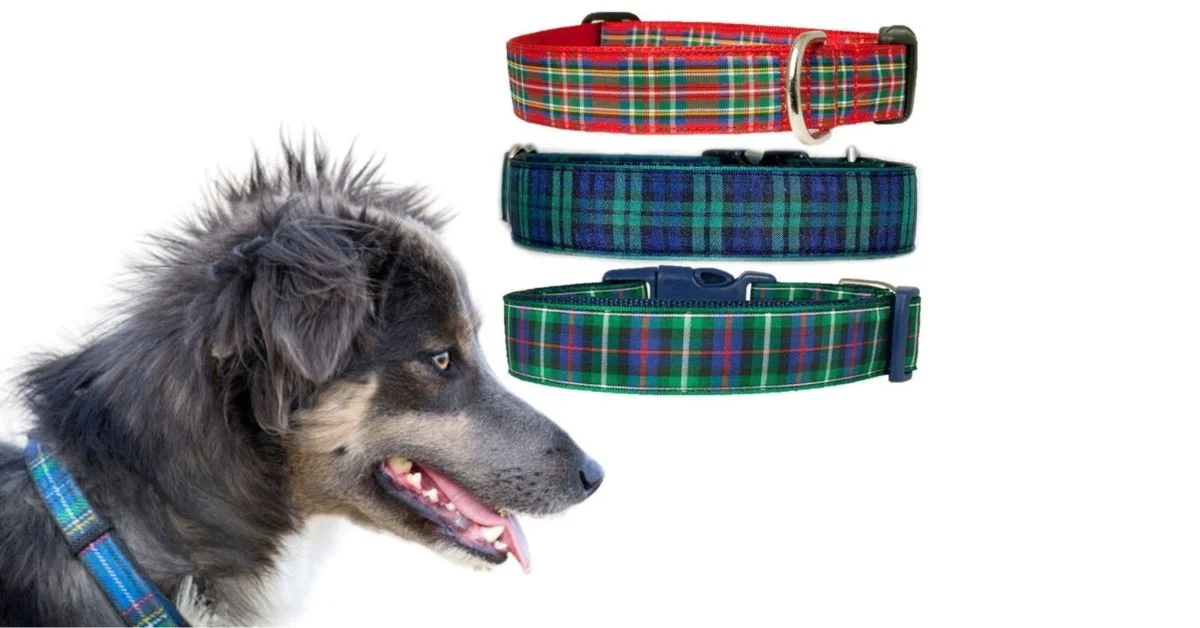 Tartan Dog Collars