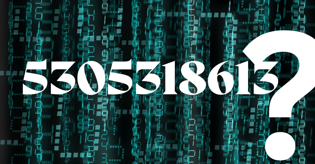 5305318613