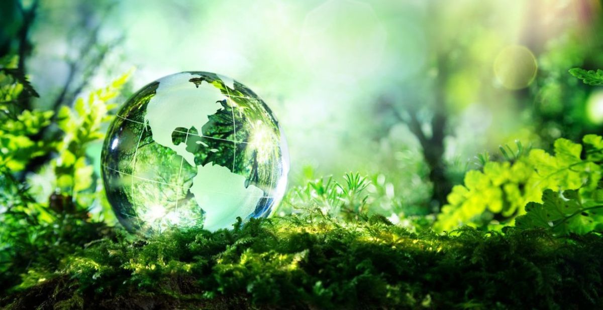 From Voicesofconservation.org Blog