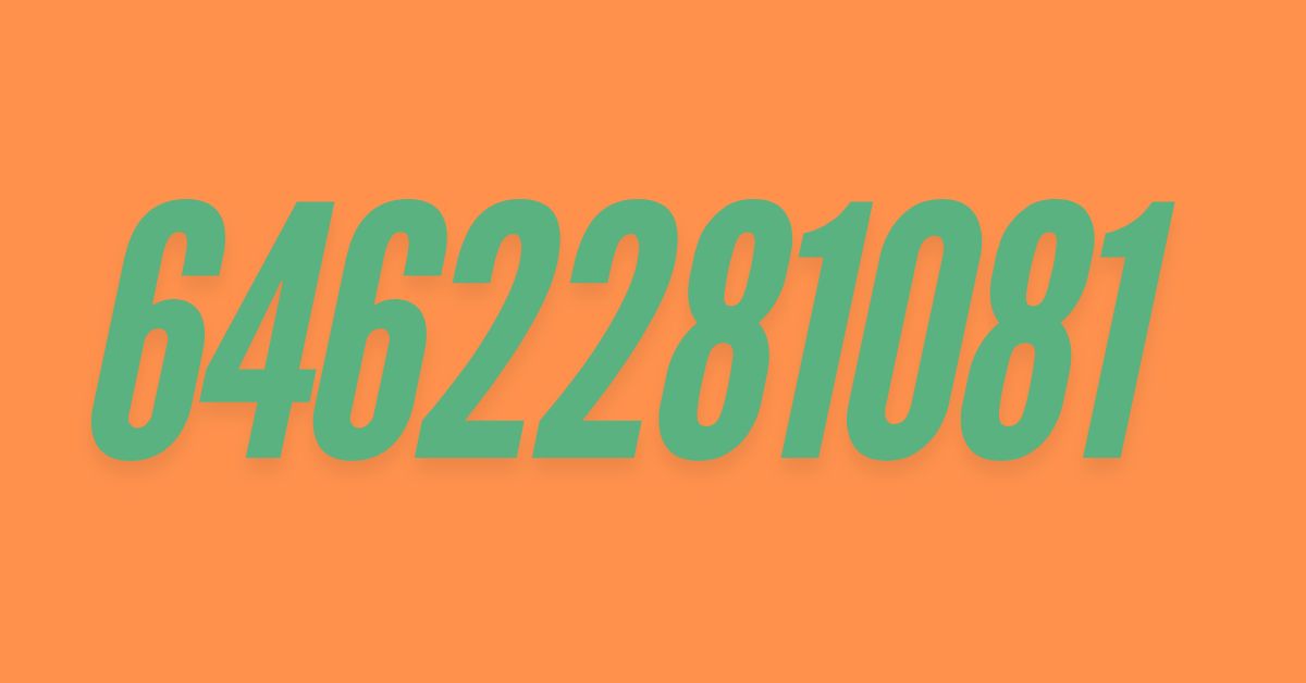 6462281081