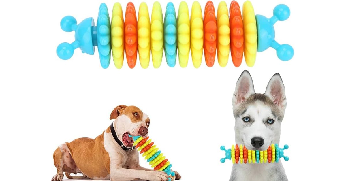 Dog Toys