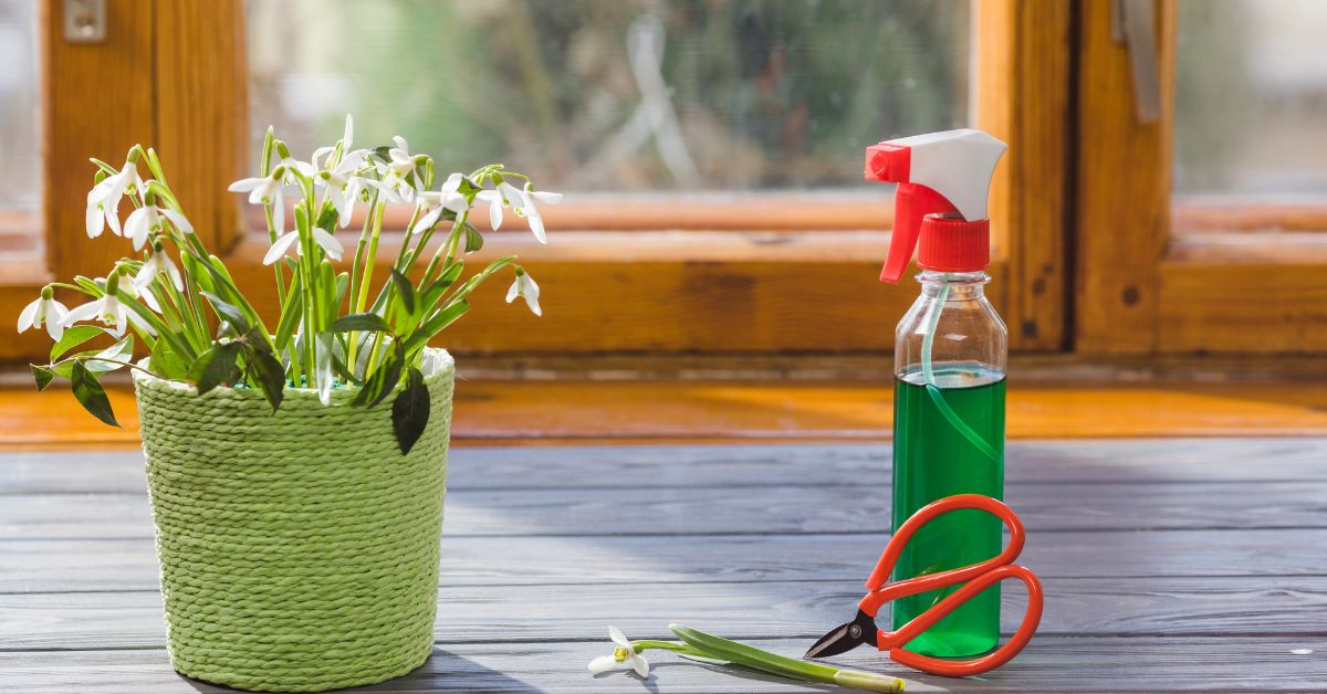 Seasonal Cleaning Made Simple