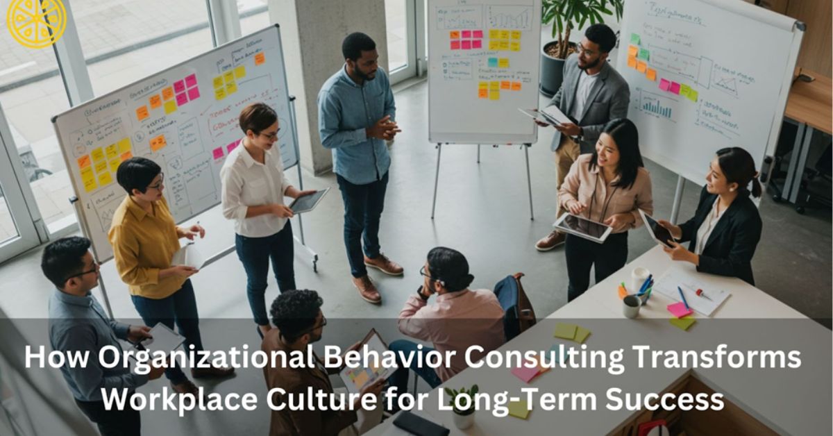 Organizational Behavior Consulting